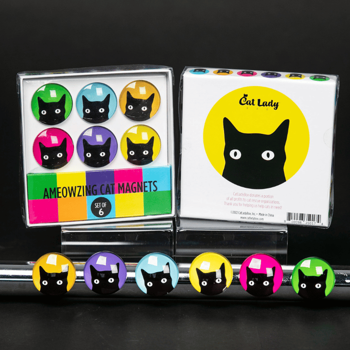 Black Cats Magnet Set