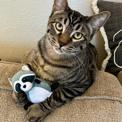 Bashful Bandit Raccoon Catnip Toy