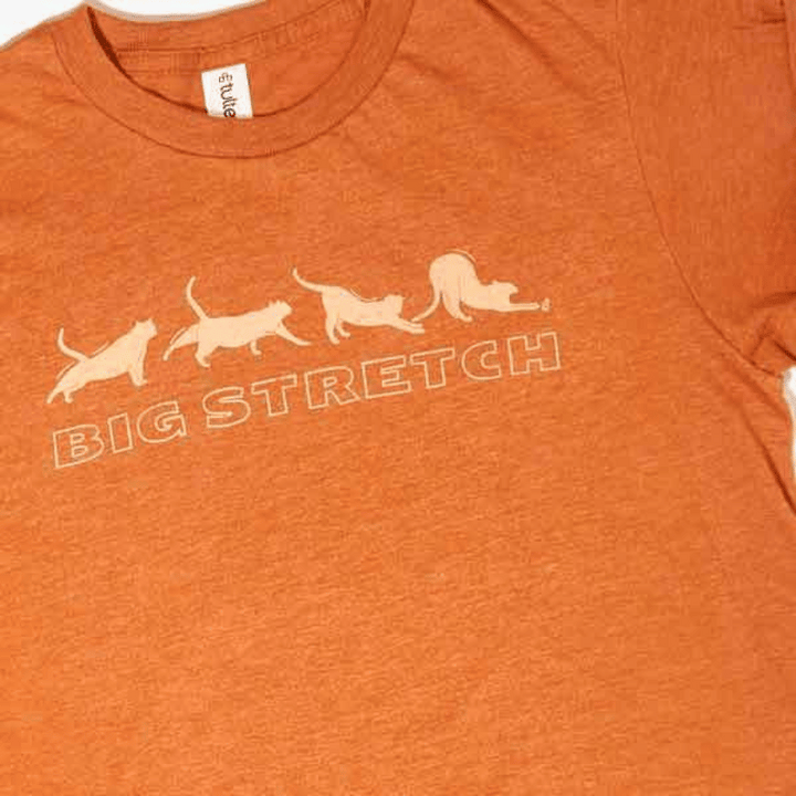 Big Stretch Shirt