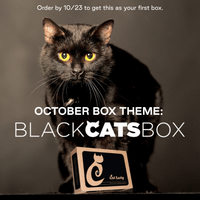 Cat Lady Box - 6 Months