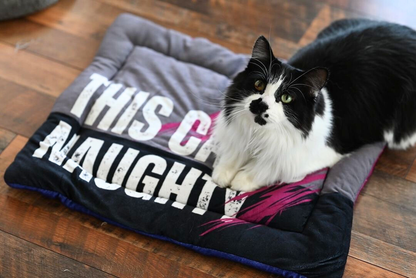 Naughty or Nice Reversible Cat Mat