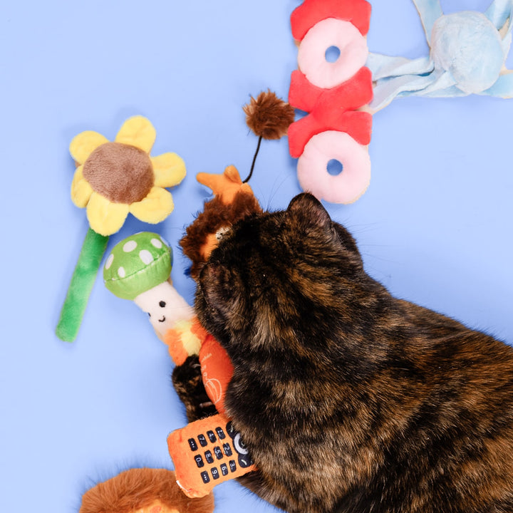 Monthly Cat Subscription Box Spoiled Cats Club – Fun Catnip Toys
