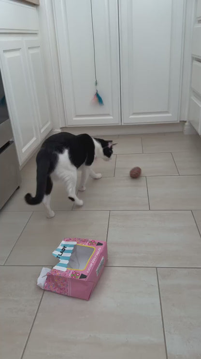 1/2 DOZEN CATNIP DONUT HOLES