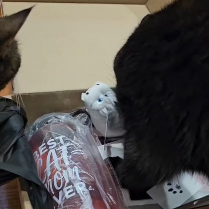 Happy Hippo Catnip Toy