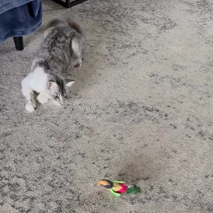 Chirpy Chirp Bird Toy