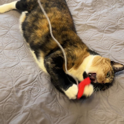 Butterfly Kiss Wand Toy