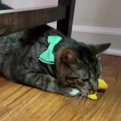The Last Slice Catnip Toy