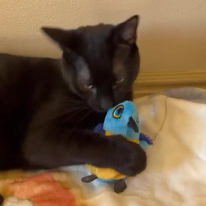 Billie Bluebird Catnip Toy